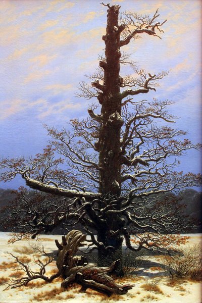 Quercia nella neve da Caspar David Friedrich